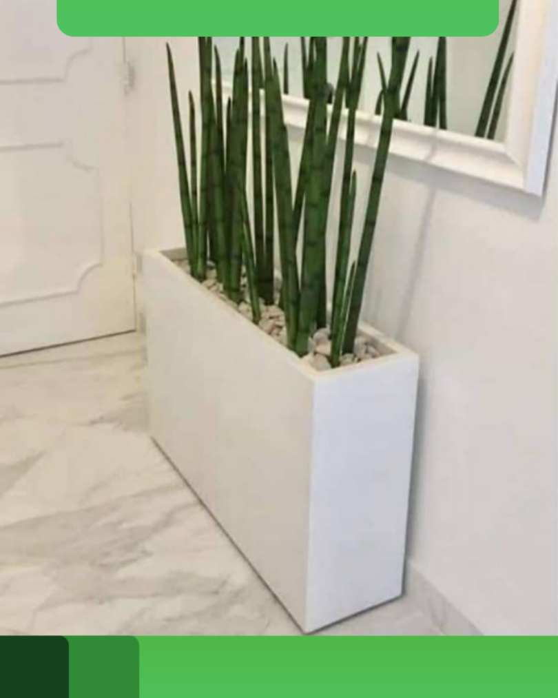 Customized concrete pots by WMS